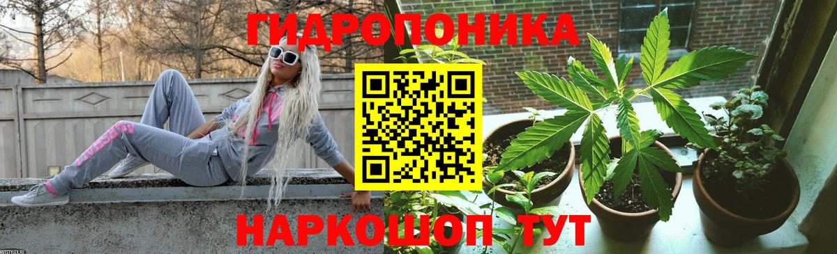 Марихуана сатива  Шишки марихуана индика  Астрахань  Вход с VPN  Канабис семена 